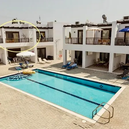 Harmonia At Gennadi Court